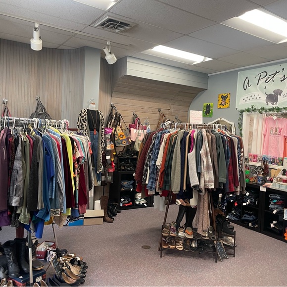 Meet your Posher, Alisha - Picture 8 of 10